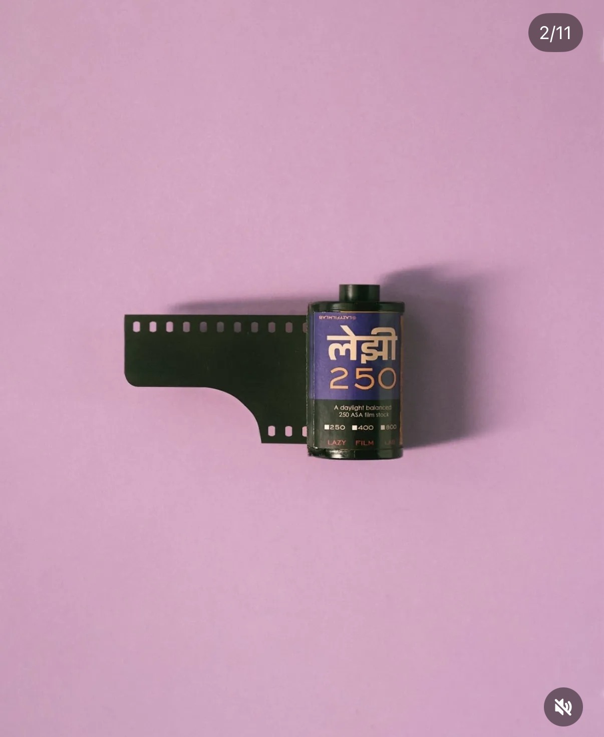 LAZY 250 product 2