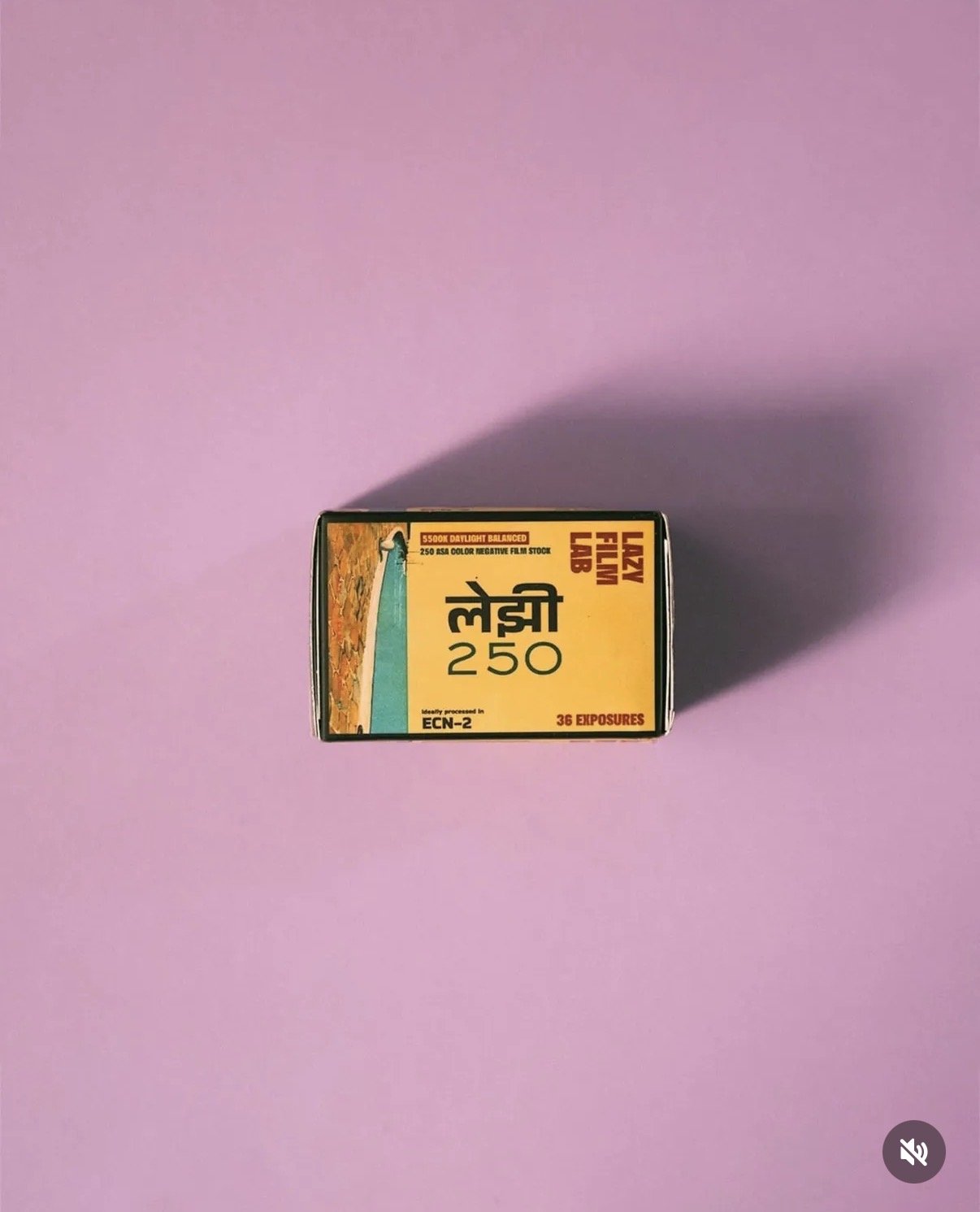 LAZY 250 product 4