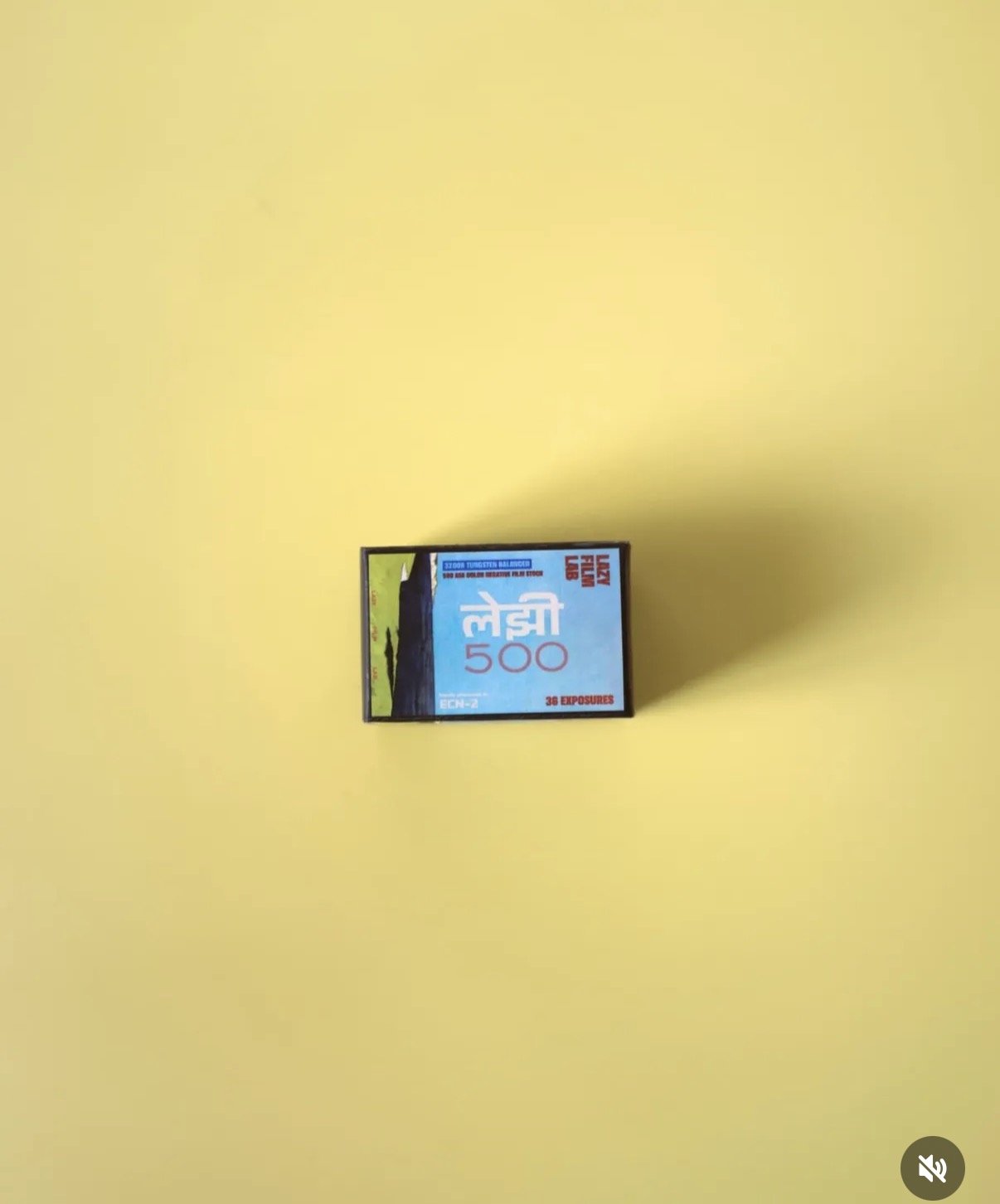 LAZY 500 product 2